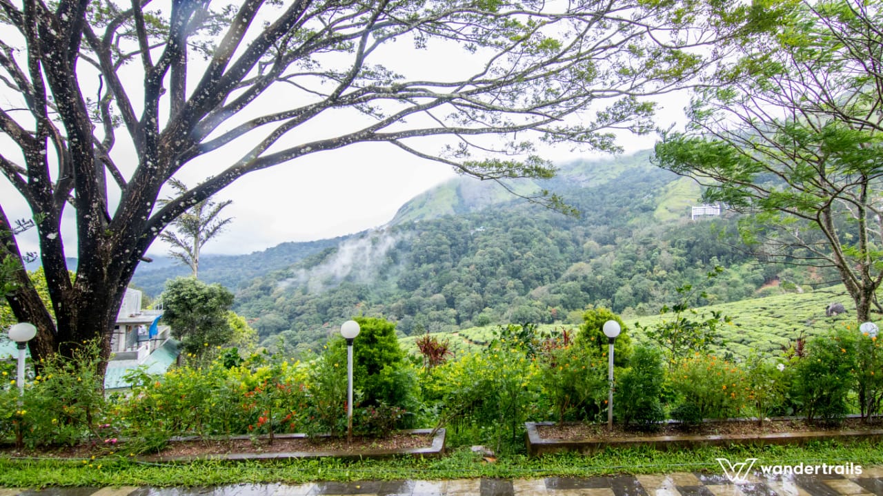 Munnar Gap Road Cottage View