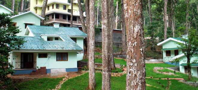 Forest Jungle Cottage at Munnar