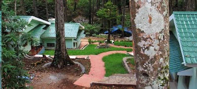Munnar Forest Cottage between Trees