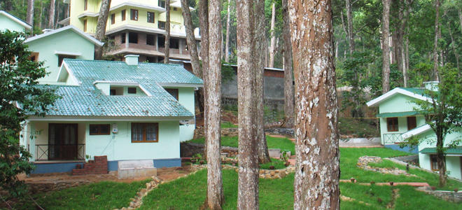 Forest Cottage Munnar view