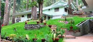 Forest Cottage in Munnar