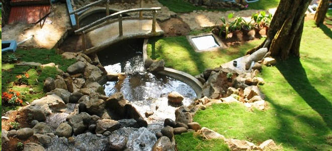 Cottage inside jungle in Munnar