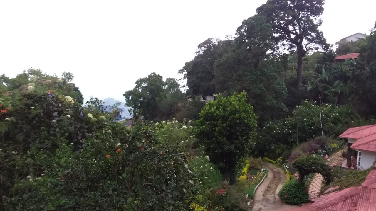 Munnar Luxury Ollivebrook Bungalow