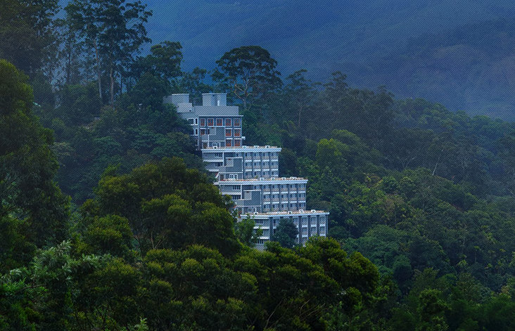Munnar windy wood inside forest view